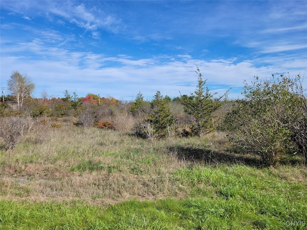 photo undefined:  County Route 60, Watertown Town NY 13601