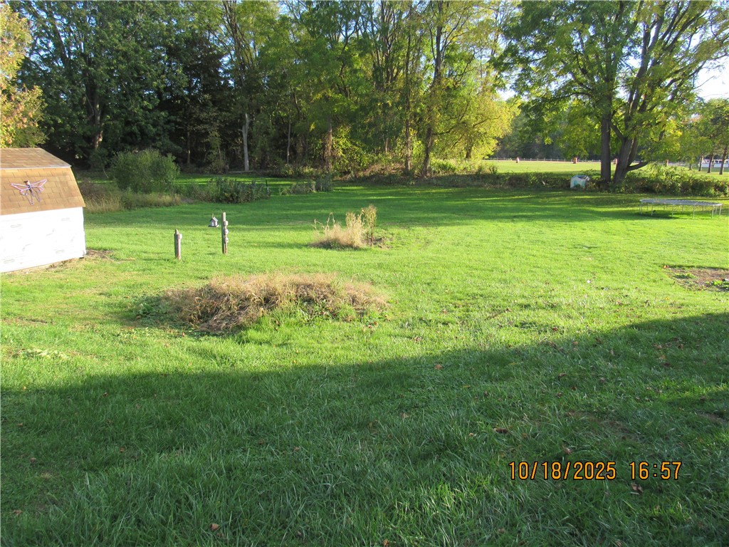 photo txc06UQ: 52 Montezuma Street, Lyons NY 14489