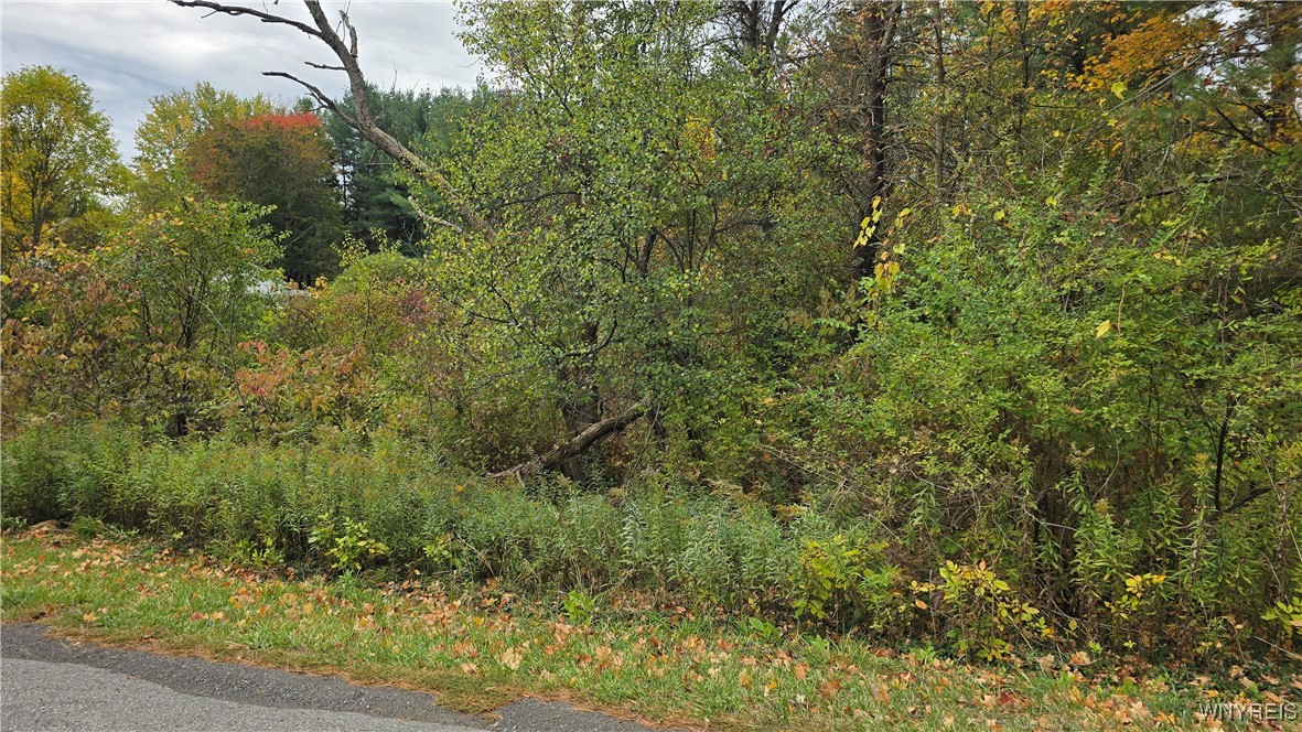 photo undefined: 217 Bowen Road, Aurora NY 14052