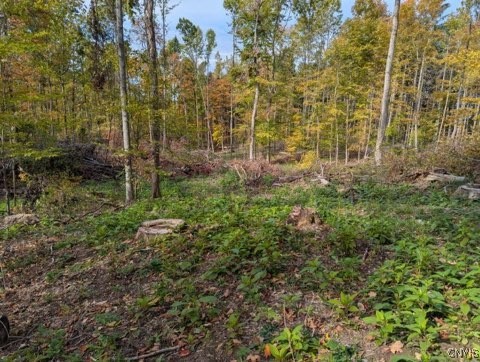 photo undefined: Lot 2 Chestnut Ridge Road, Sennett NY 13021