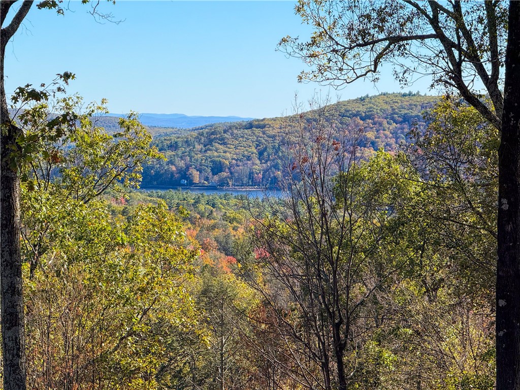 photo DGfL1VXnrJdAscI9iyRs9qhCQgkc: 132 Valley View Way, Woodstock NY 12448