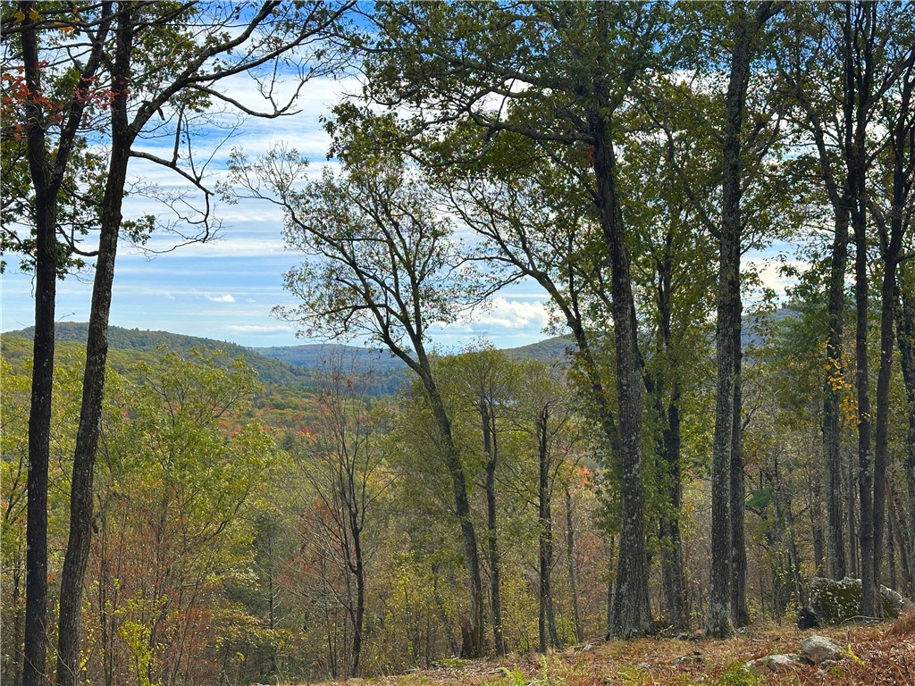 photo 2 : 132 Valley View Way, Woodstock NY 12448