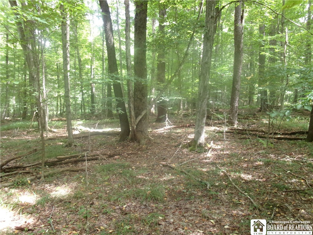 photo 4 : 0 Cemetery Hill Road, Franklinville NY 14737