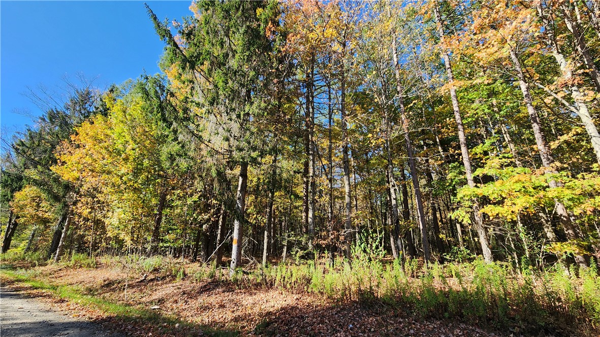 photo 3 : 0 Wagner Road, Dansville NY 14437