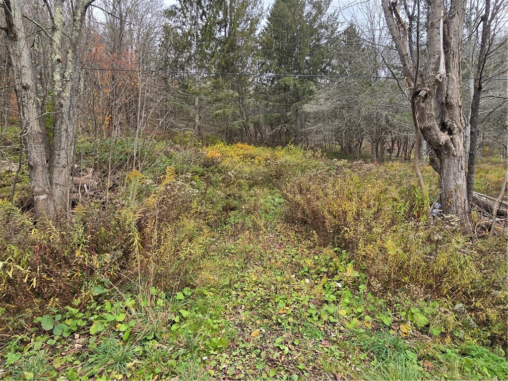 photo undefined: 26544 State Highway 28, Bovina NY 13740