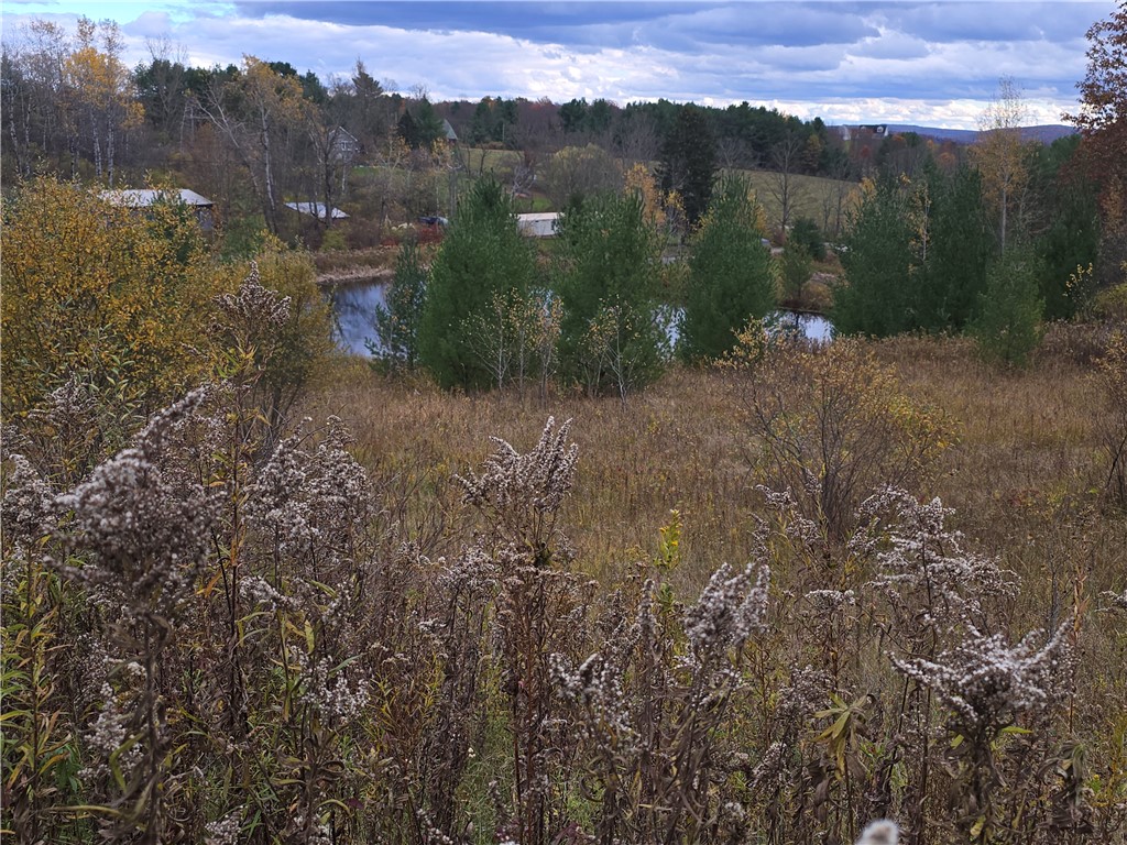 photo undefined:  Hardknocks Road, Unadilla NY 13849