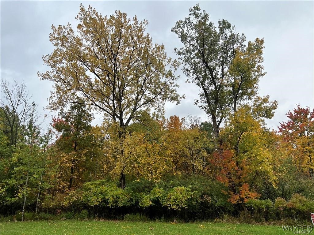 photo undefined: VL Milestrip Road, Hamburg NY 14219