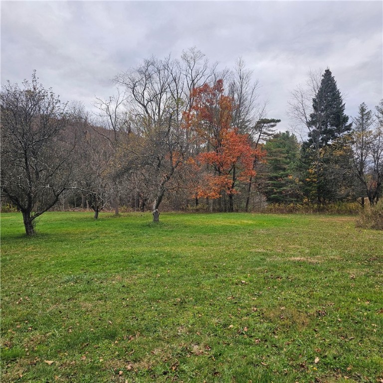 photo undefined: 7189 Freeman Hollow Rd Road, Bath NY 14810