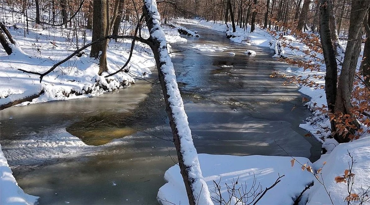 photo undefined: VL Clinton Street, Elma NY 14059