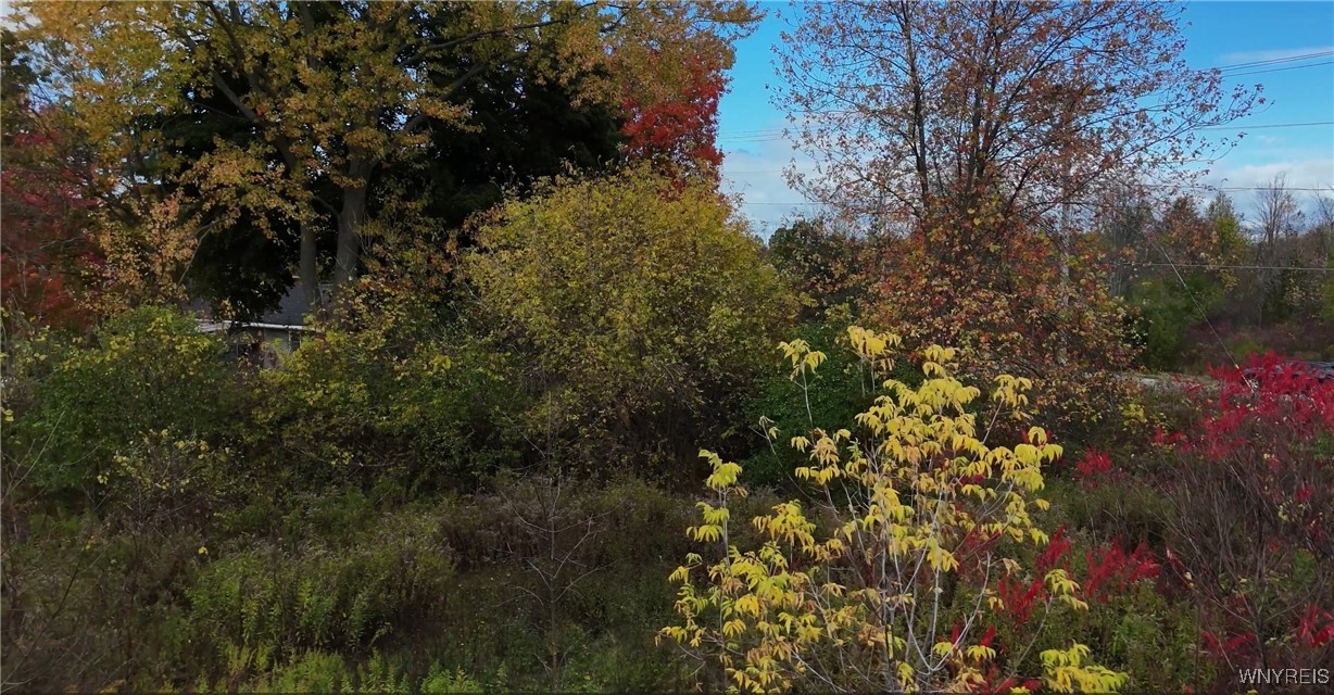 photo undefined: 610 Blairville Road, Porter NY 14174