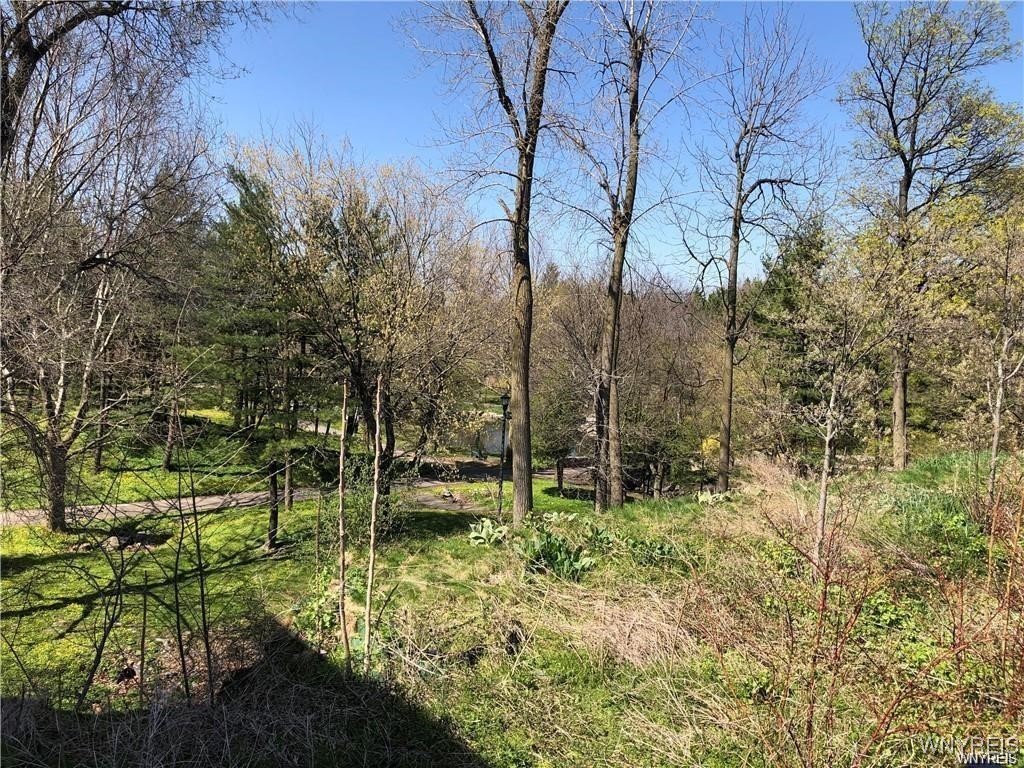 photo undefined: 42 East Spring Street A2, Amherst NY 14221